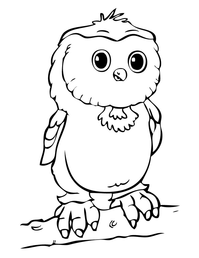 Download Owl Template - Animal Templates | Free & Premium Templates