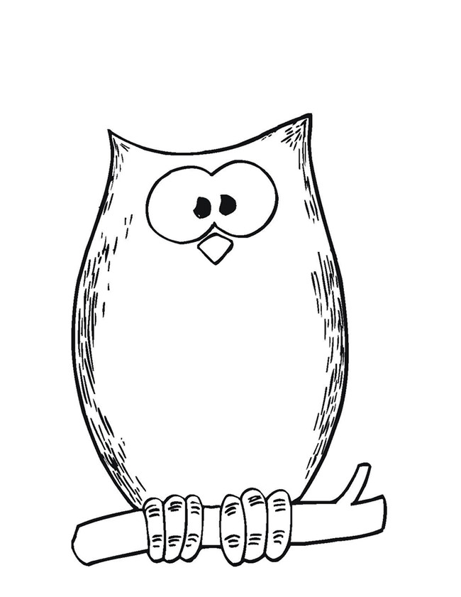 small owl printable template