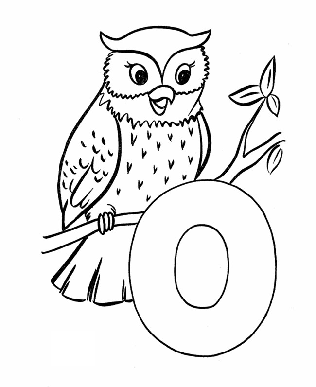 Download Owl Template - Animal Templates | Free & Premium Templates