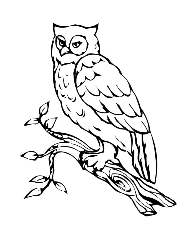 Owl Shape Template 37+ Free PDF, Crafts & Coloring Documents Download