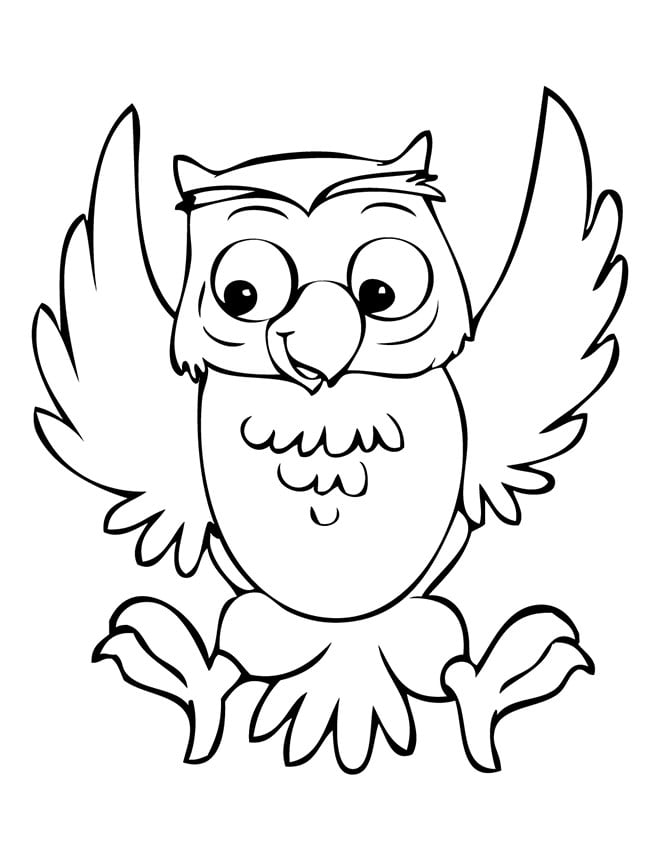  Owl  Template  Animal Templates  Free Premium Templates 