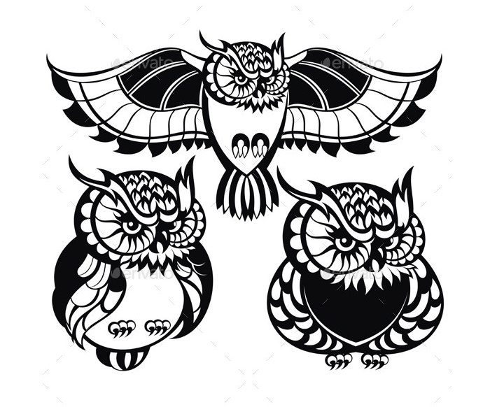 owls illustration