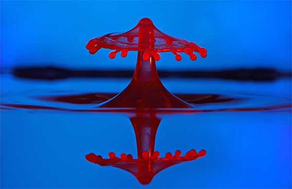 perfect water drop photography