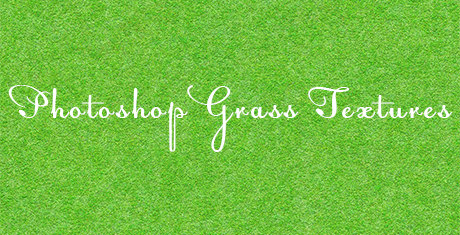 60 Best Photoshop Grass Textures Free Psd Download Free Premium Templates