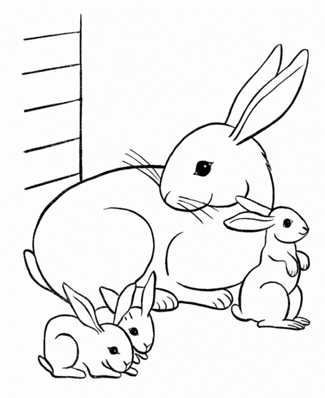 coloring pages of cute baby bunnies