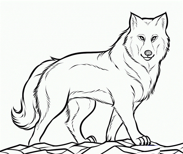 printable wolf coloring page