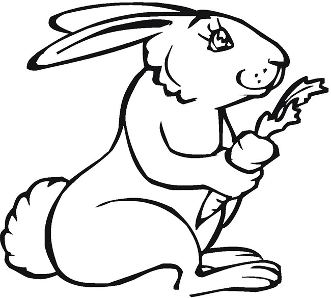 rabbit eating a carrot coloring page