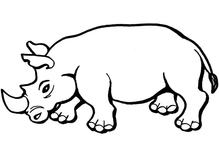 rhino-african-animal-template