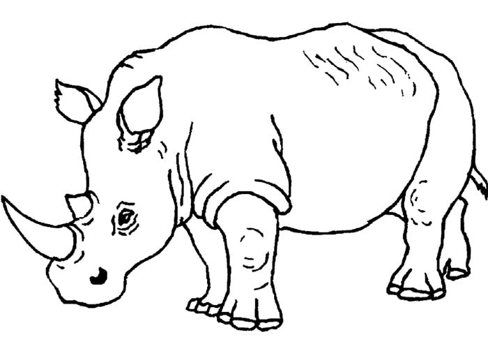 rhino-african-wild-animal-template