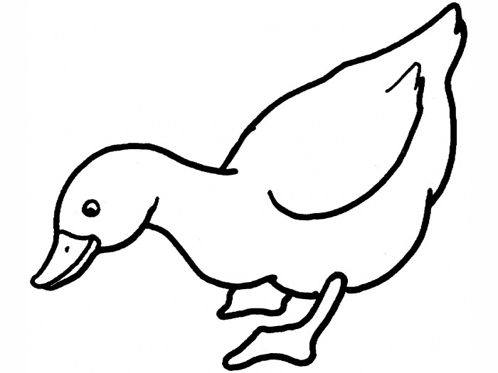 Paper Duck Coloring Pages - Free & Printable!