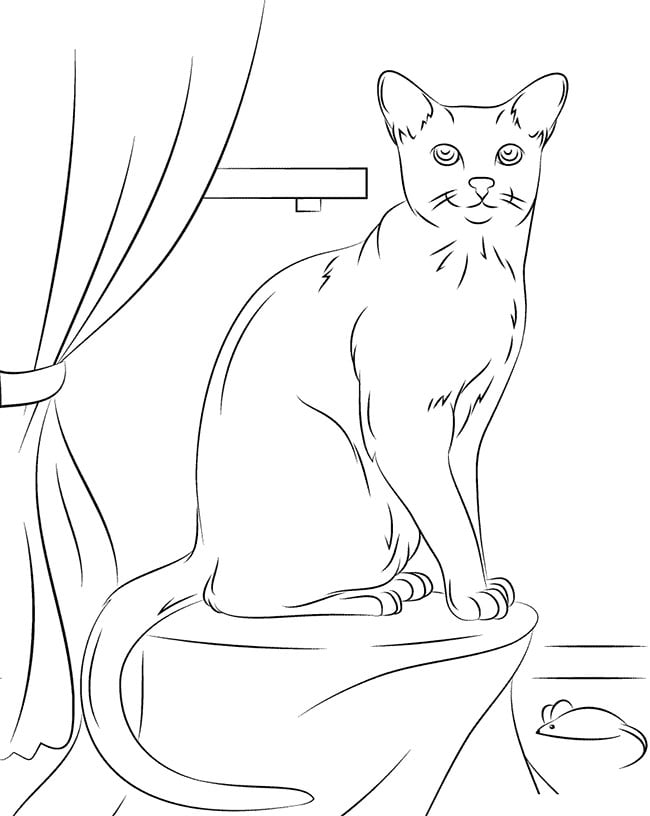 russian blue cat coloring page