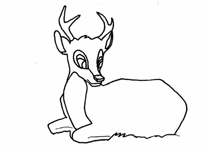 45+ Deer Templates - Animal Templates | Free &amp; Premium Templates
