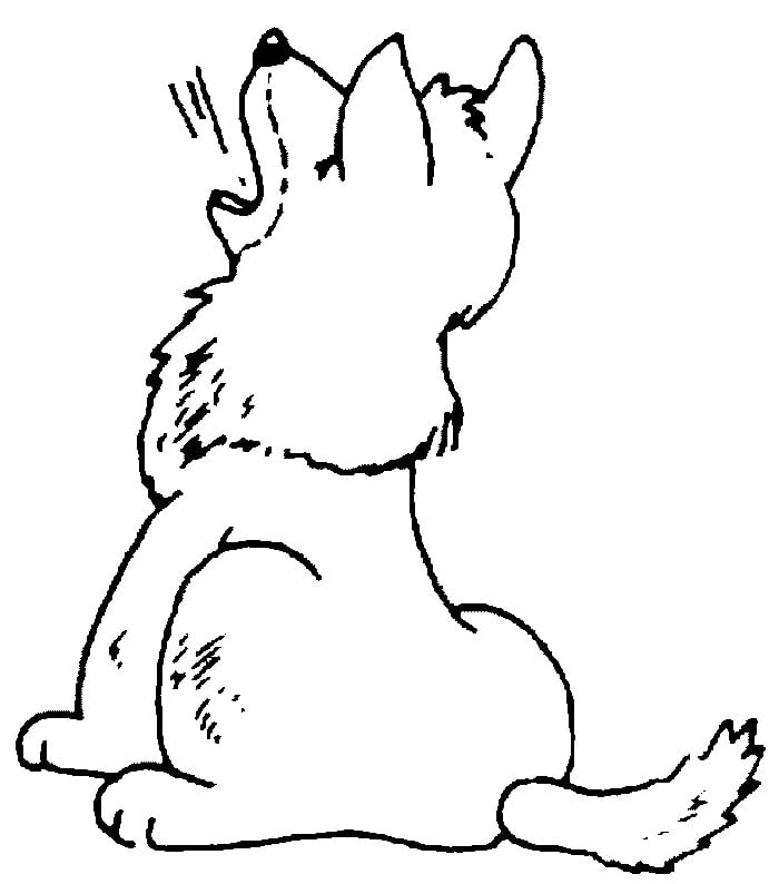 sample wolf coloring page