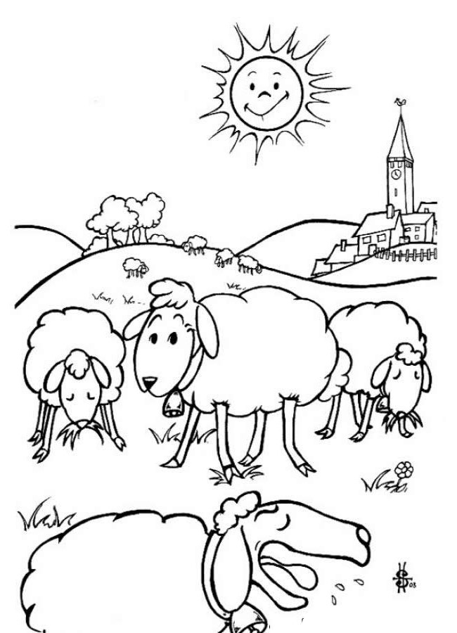 sheep template