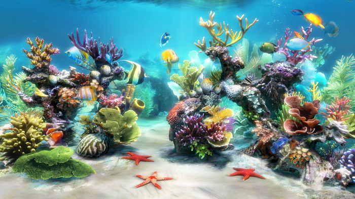 50  Best Aquarium Backgrounds  Free \u0026 Premium Templates