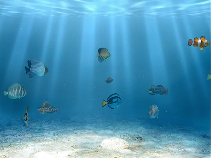 50+ Best Aquarium Backgrounds | Free & Premium Templates