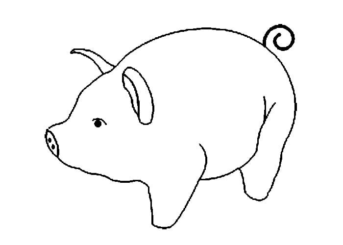 simple-pig-template
