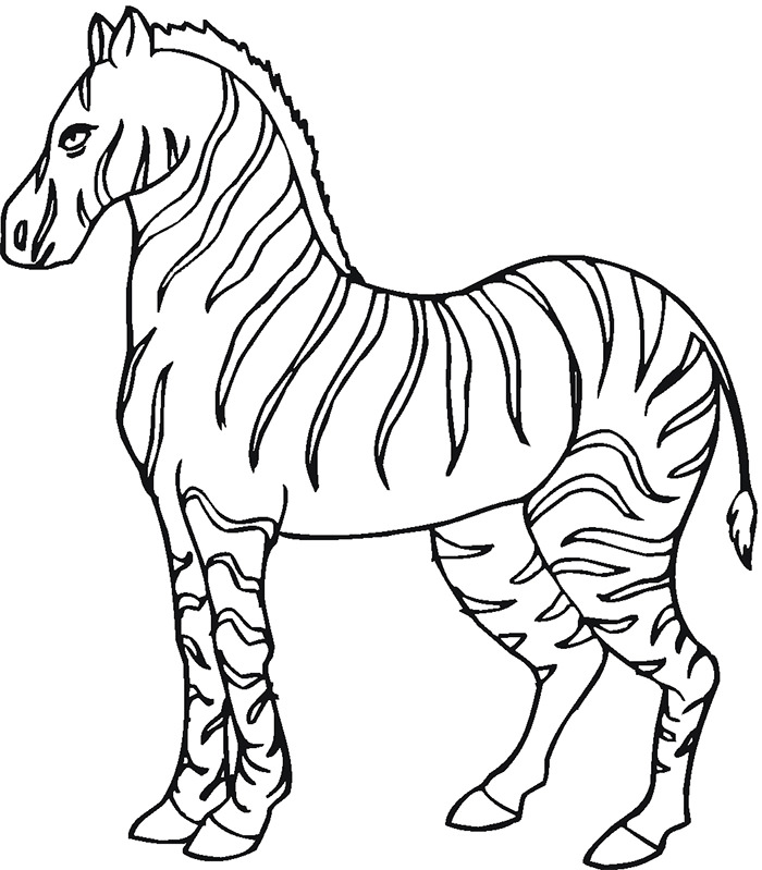 Zebra Template Printable Printable World Holiday