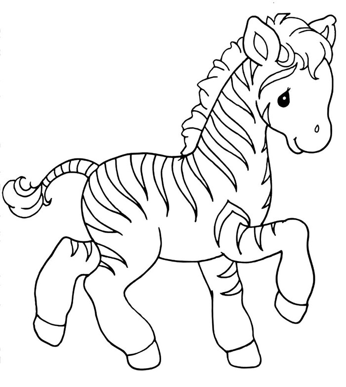 Desenho de Zebra-de-Hartman