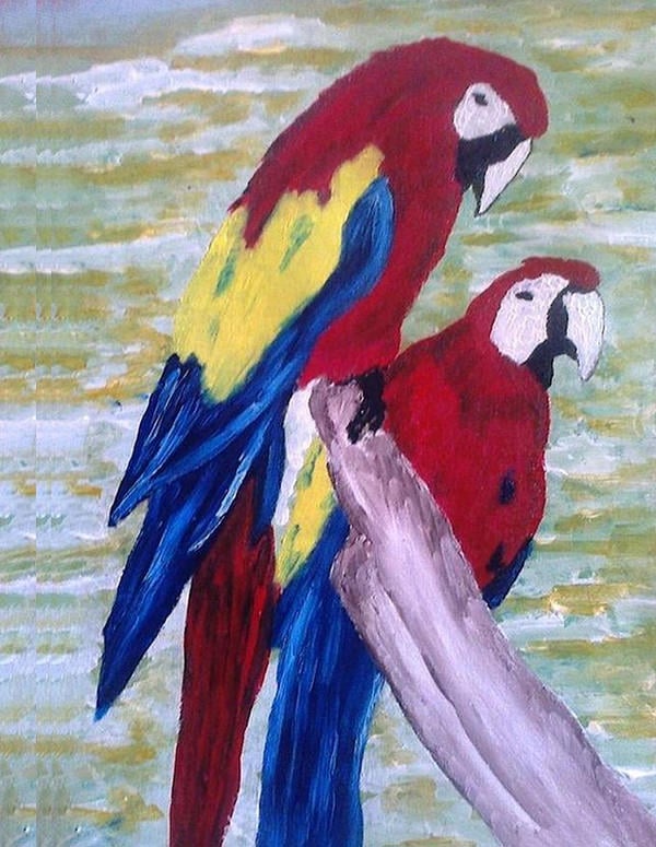 the parrots