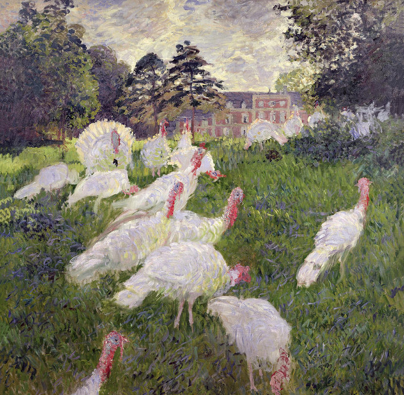 the turkeys at the chateau de rottembourg