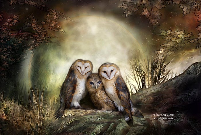 three owl moon
