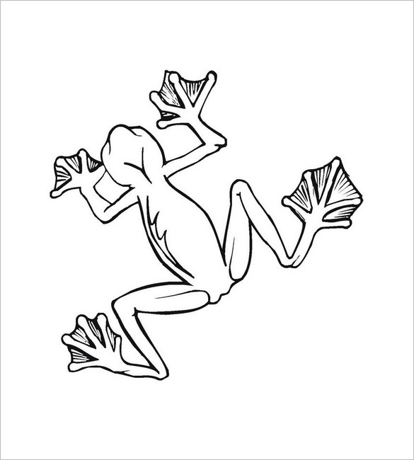 tree frog line drawing