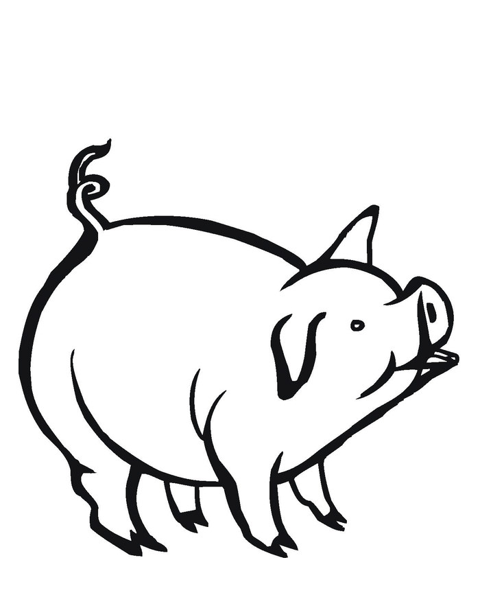 pig outline