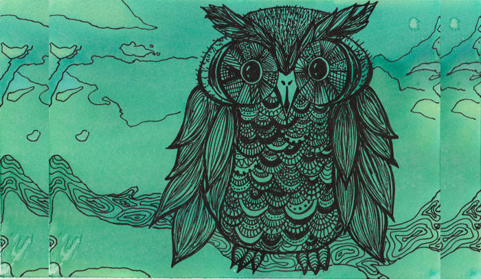 water color owl illustration