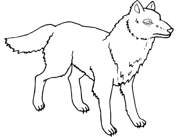 wild wolf template