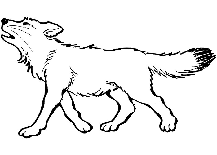wolf coloring page free