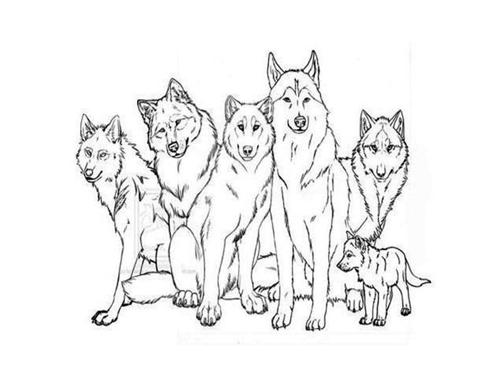 wolves coloring page