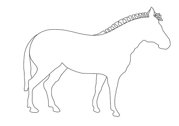 40 Zebra Templates Free PSD Vector EPS PNG Format Download Free 