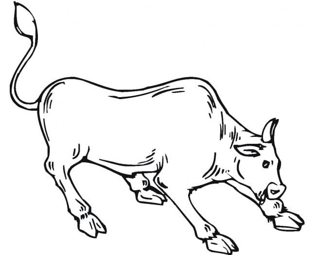 cow-template-animal-templates-free-premium-templates