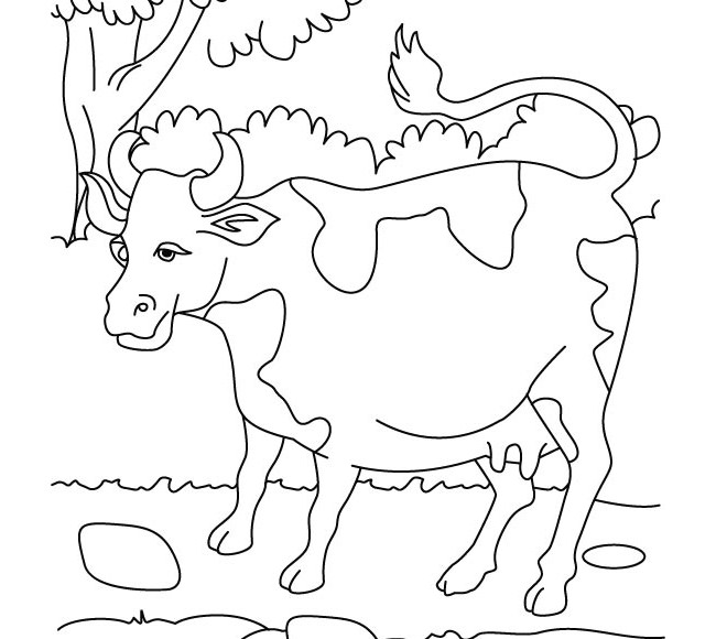 Cow Template - Animal Templates