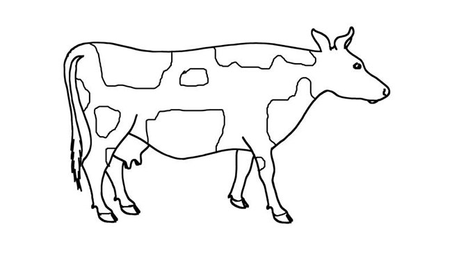 Cow Template - Animal Templates