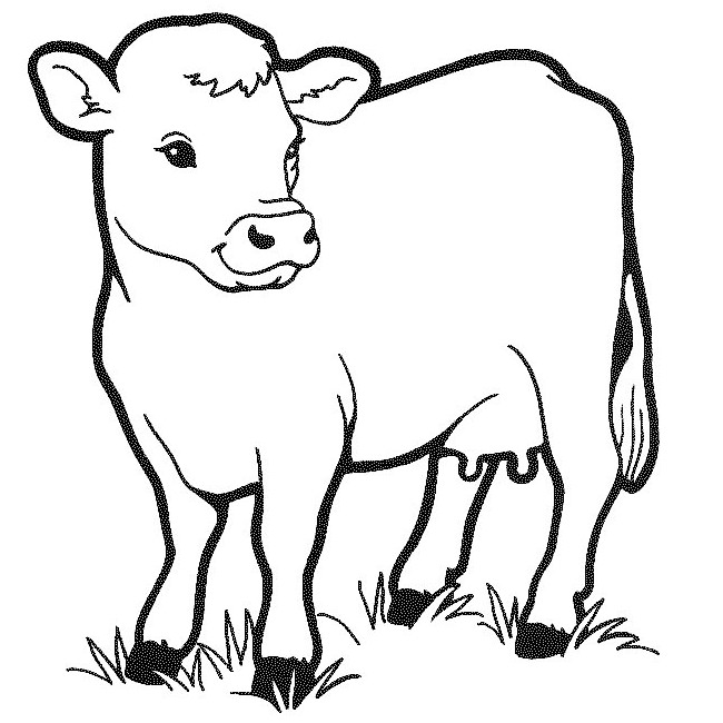 Drawing worksheet Trace and colour : Cow Stock Vector | Adobe Stock