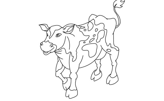 cow-template-26