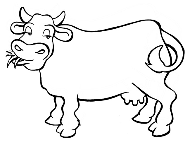 gambar sapi untuk diwarnai Cow Template Animal Templates Free Premium Templates