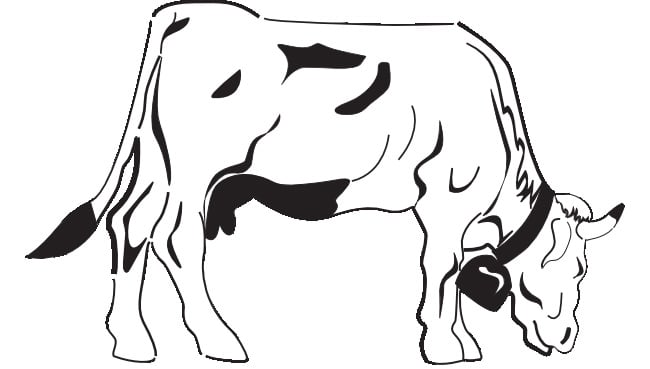 cow-template-42