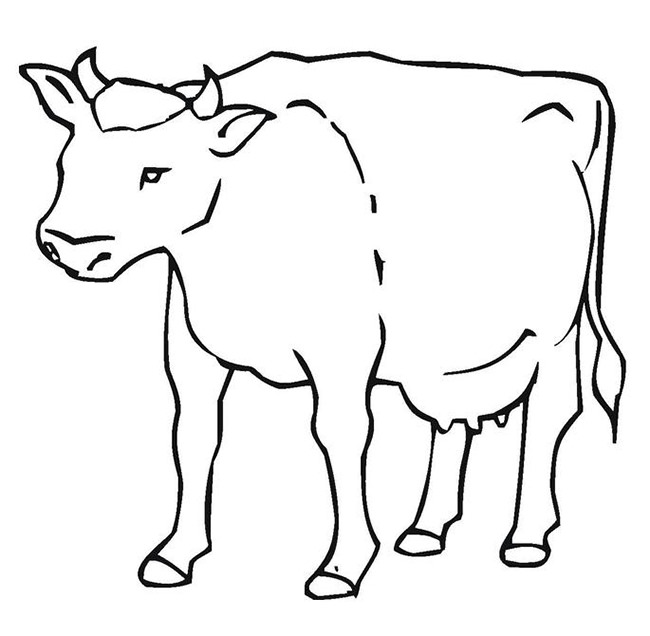 Cow Template - Animal Templates