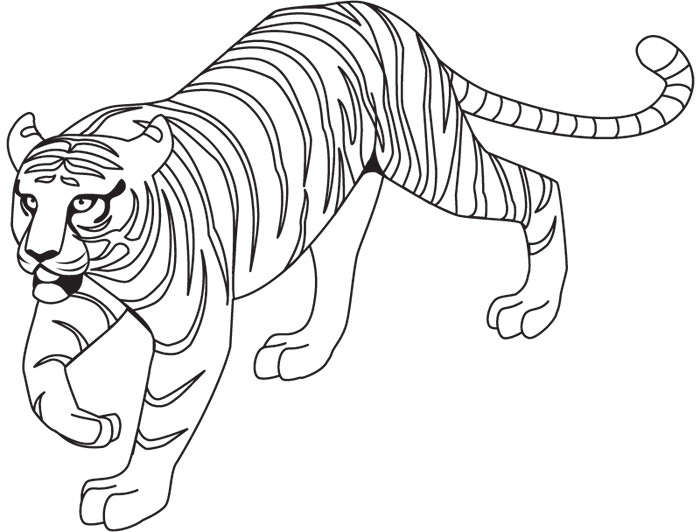 Premium Vector  Tiger coloring page for kids