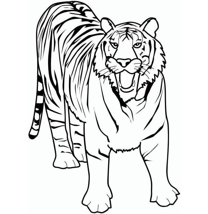 60+ Tiger Shape Templates, Crafts & Colouring Pages | Free & Premium ...