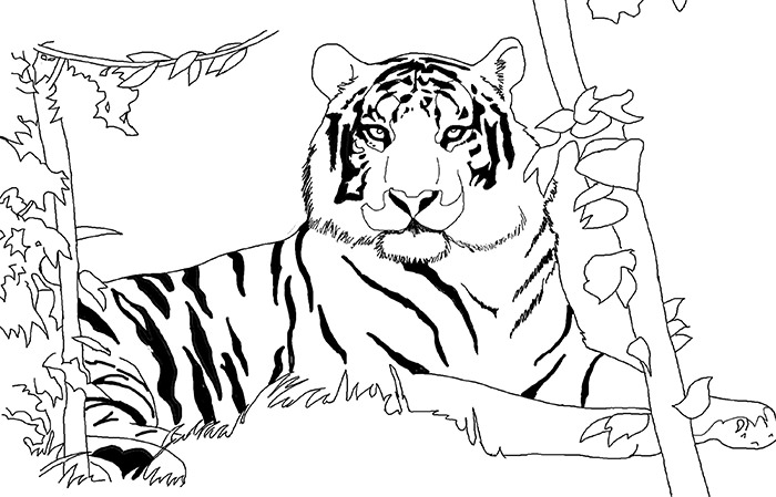 free coloring pages wild animals