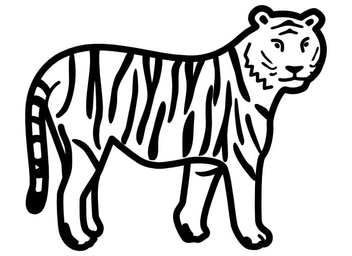 tiger template 2