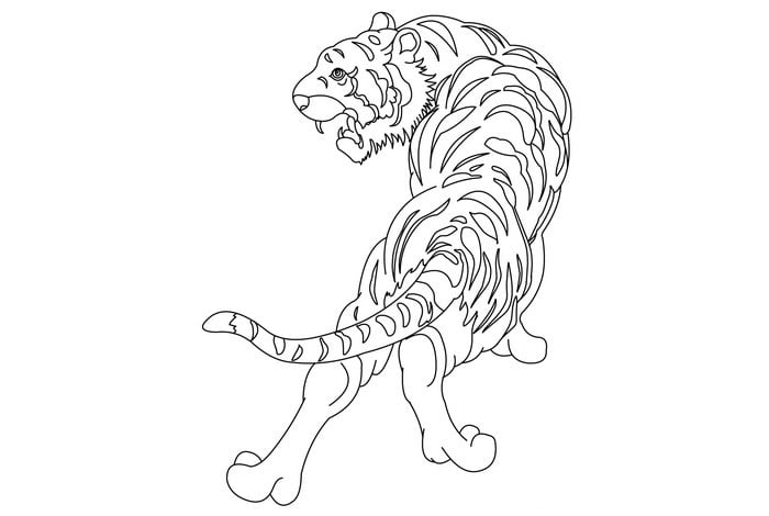 tiger template 57