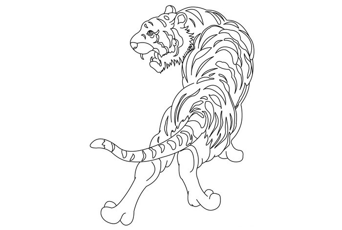 cool tigers drawings