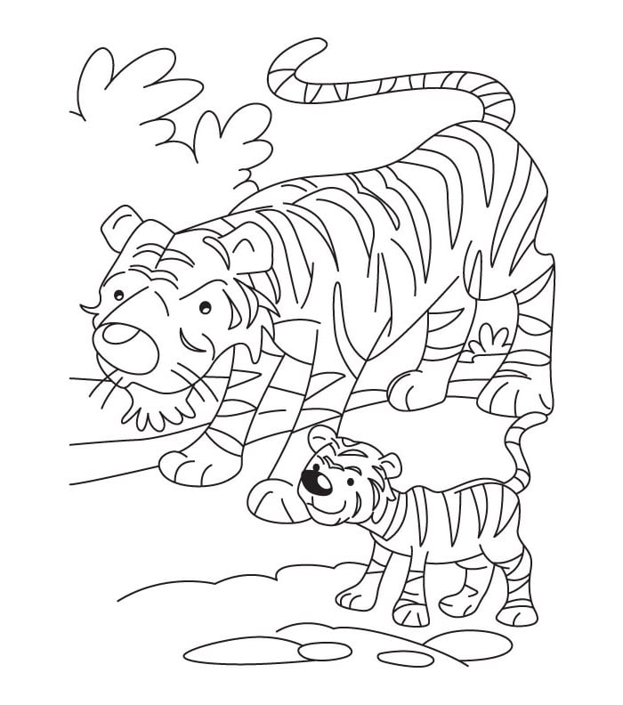 tiger template 60