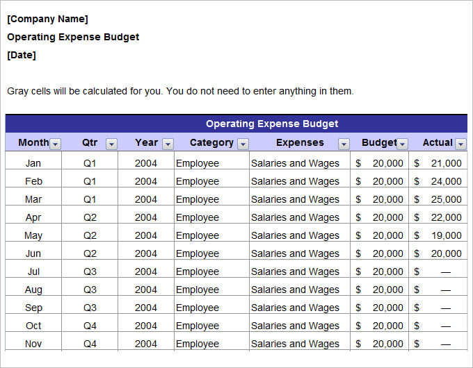 annual operating marketing budget plan template