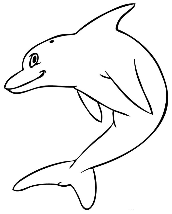 Dolphin Template - Animal Templates